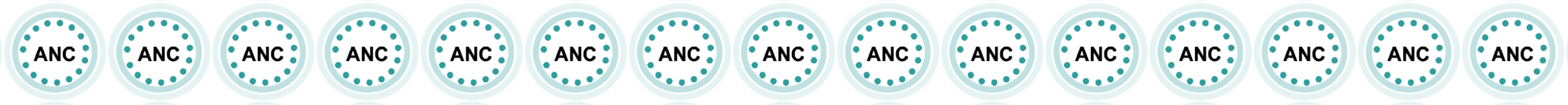 Icon_ANC2-01