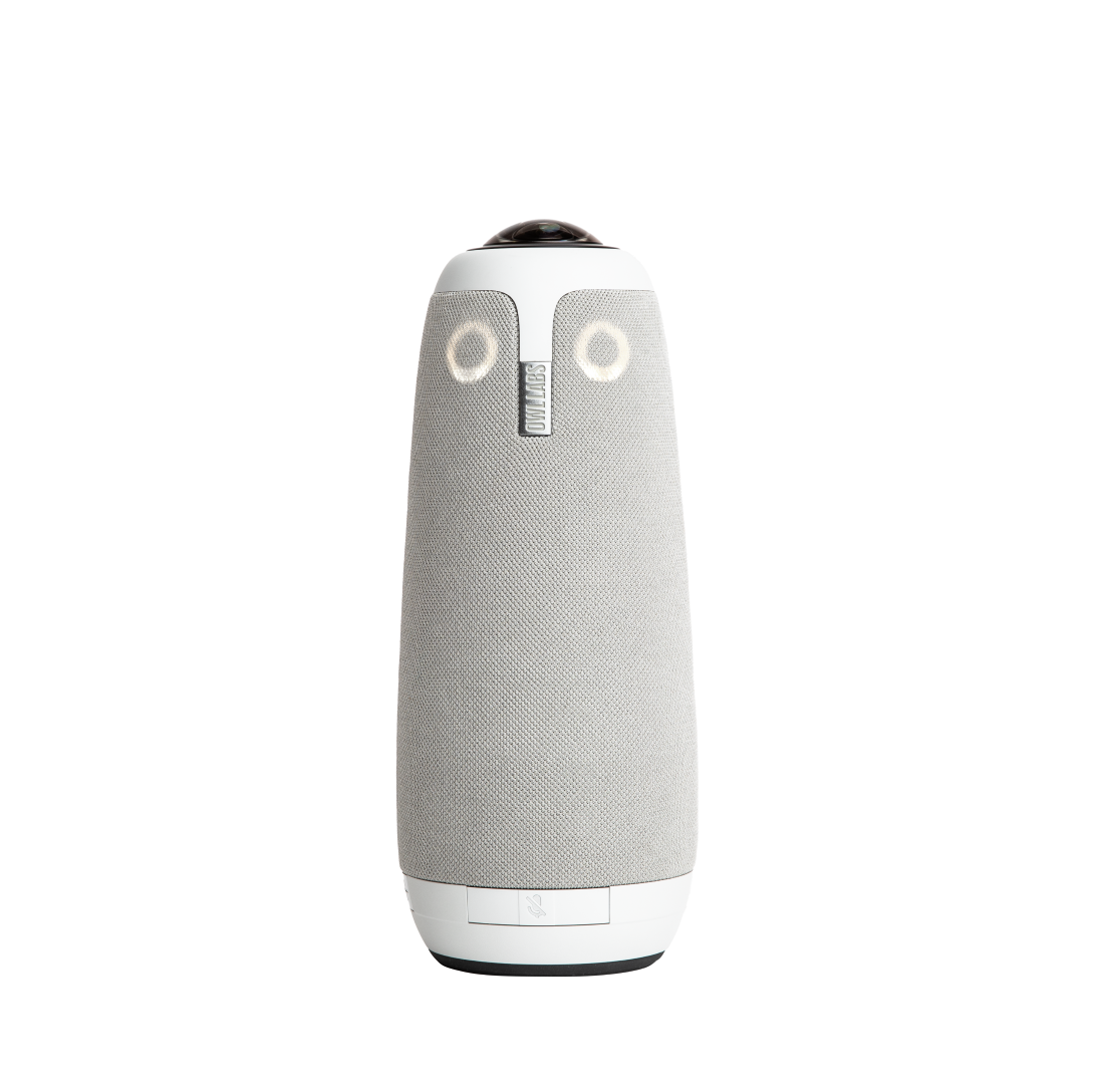 Meeting Owl 3 - Transparent - Image 4